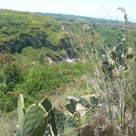 Azienda Agrituristica Carida Zaccanopoli Eksteriør bilde