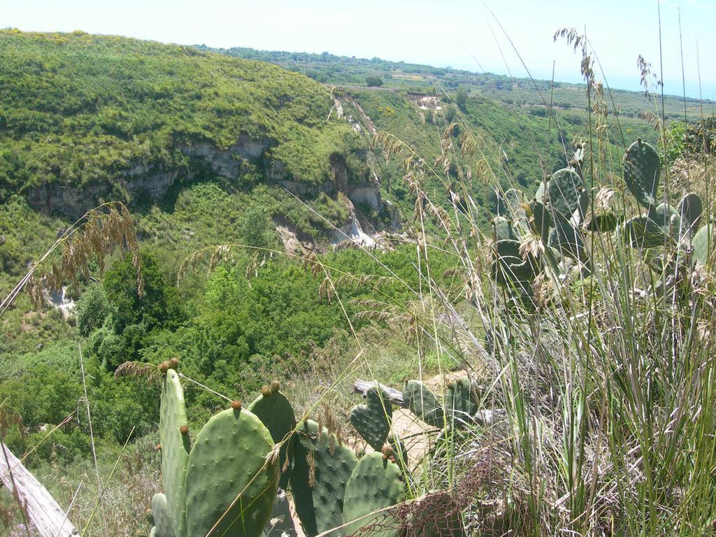 Azienda Agrituristica Carida Zaccanopoli Eksteriør bilde